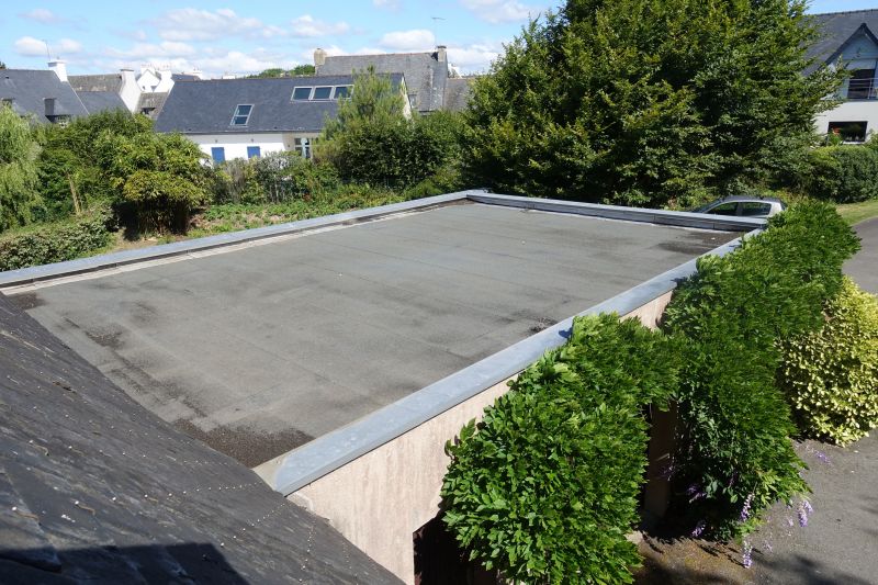 Residential Roof Replacement detail